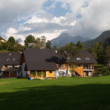 Apartments Tourist Farm Storman With Ev Ch-Station Trzic Exterior foto