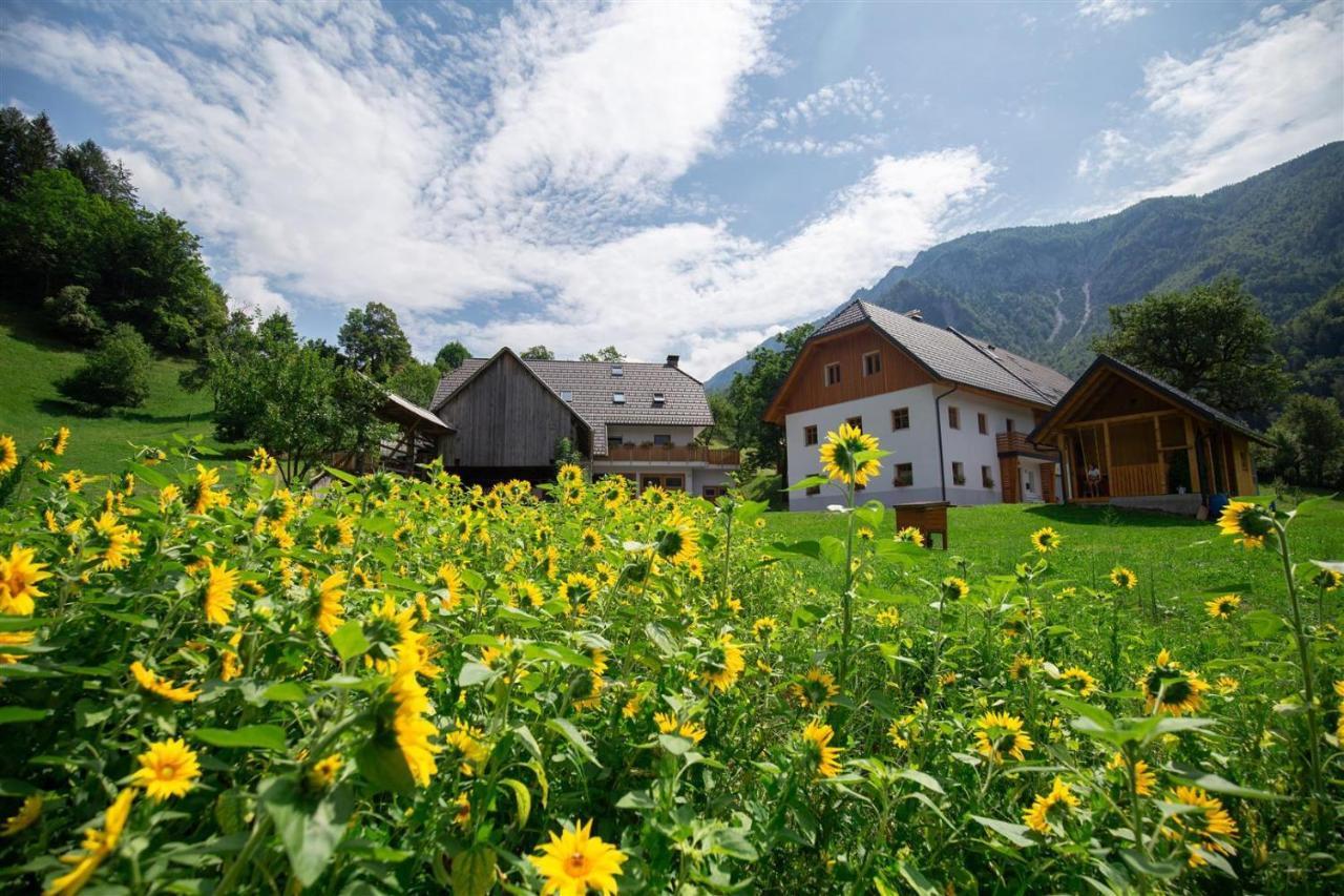 Apartments Tourist Farm Storman With Ev Ch-Station Trzic Exterior foto