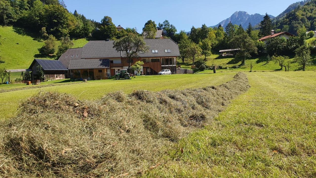Apartments Tourist Farm Storman With Ev Ch-Station Trzic Exterior foto