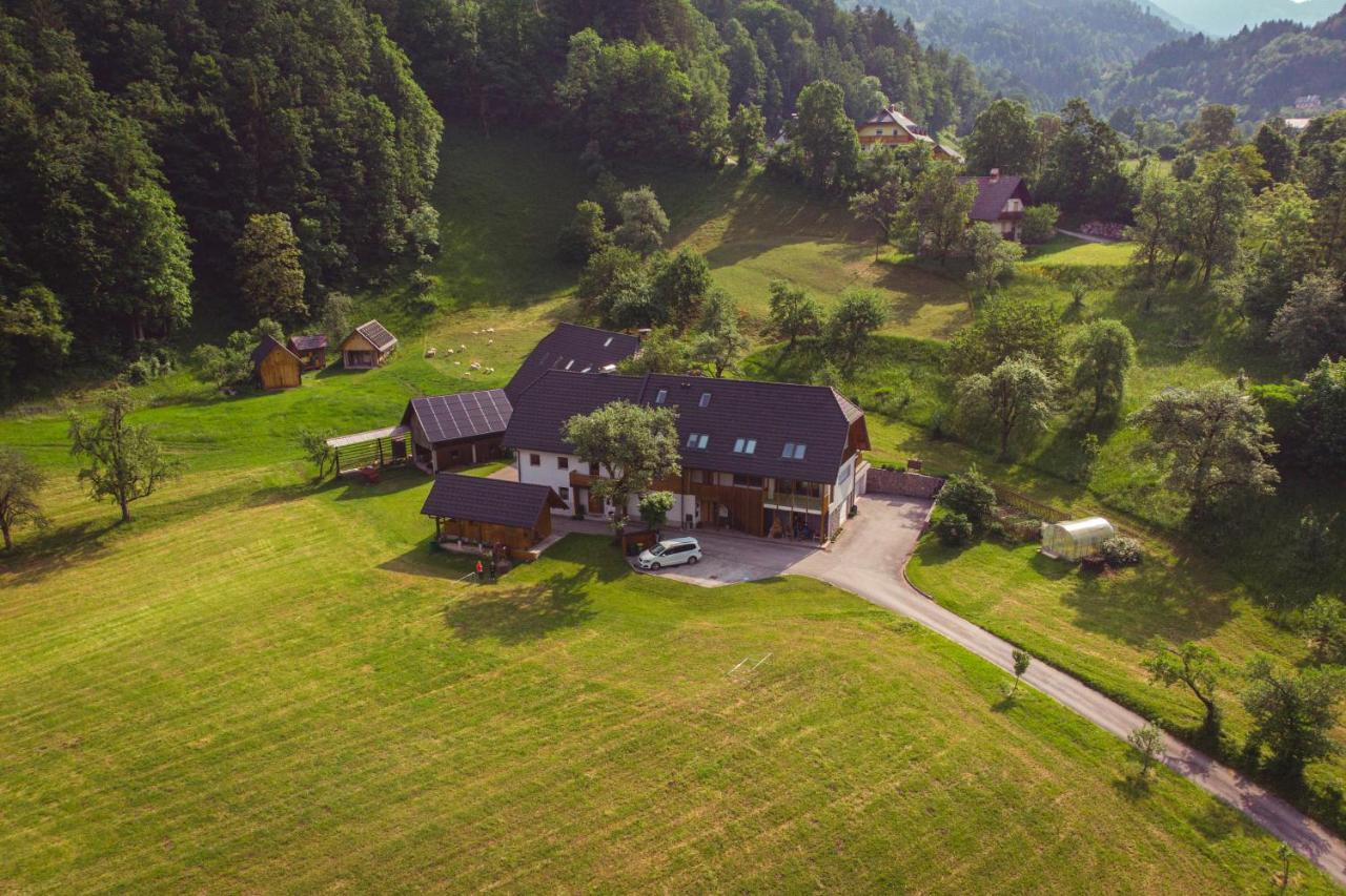 Apartments Tourist Farm Storman With Ev Ch-Station Trzic Exterior foto